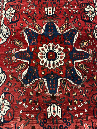 Bachtiar 255 X 162 CM