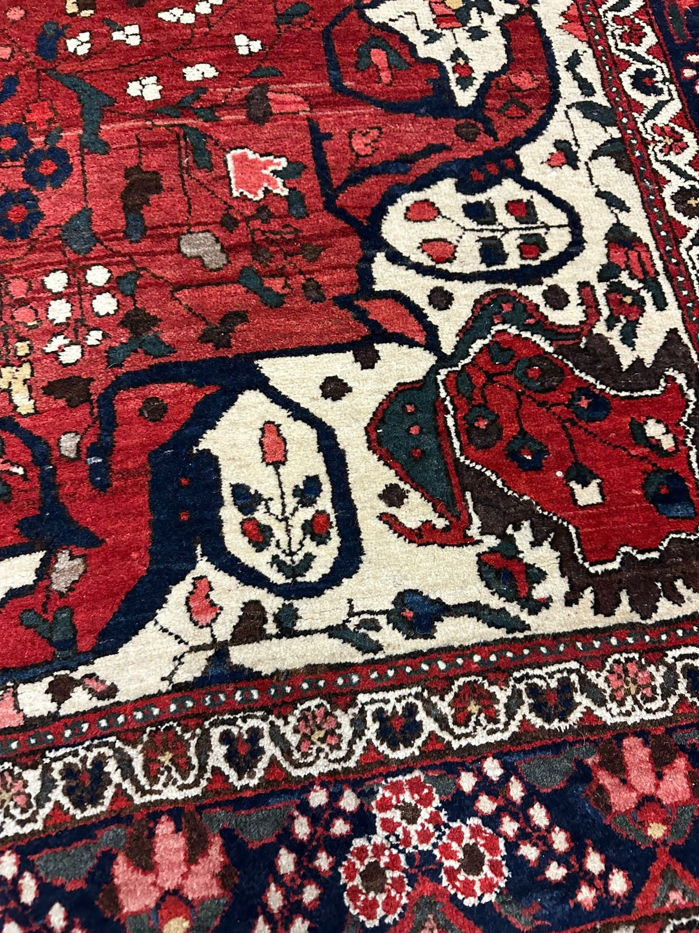 Bachtiar 255 X 162 CM